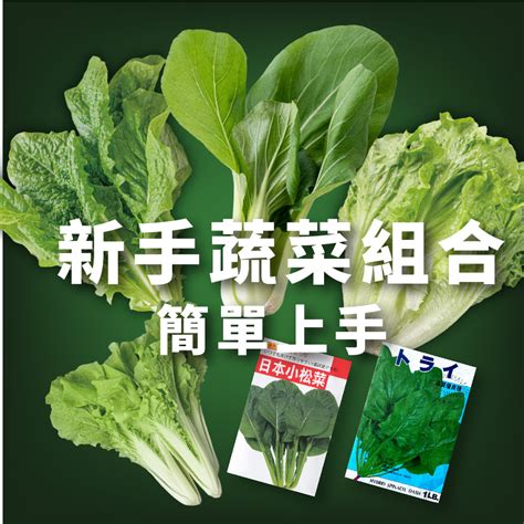 種植教學|新手種菜推薦：小白菜栽種教學｜食農教育資訊整合平